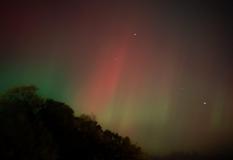 Aurora Galas